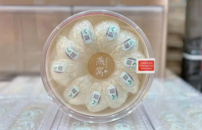 燕窝回收